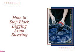 How to Stop Black Legging From Bleeding