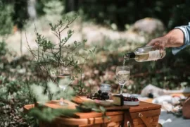 Discover Wine Totes and Bags Collection