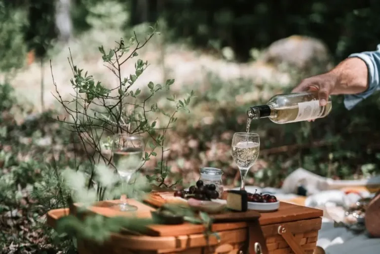 Discover Wine Totes and Bags Collection