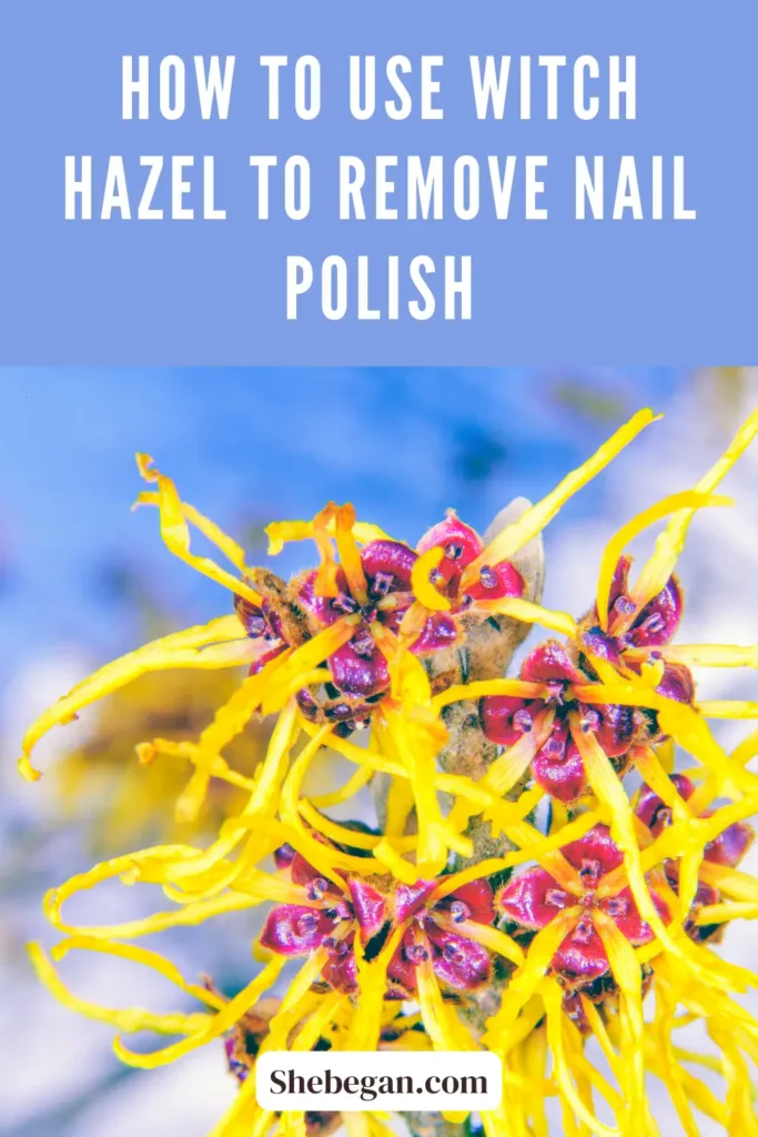 Can Witch Hazel Remove Nail Polish?