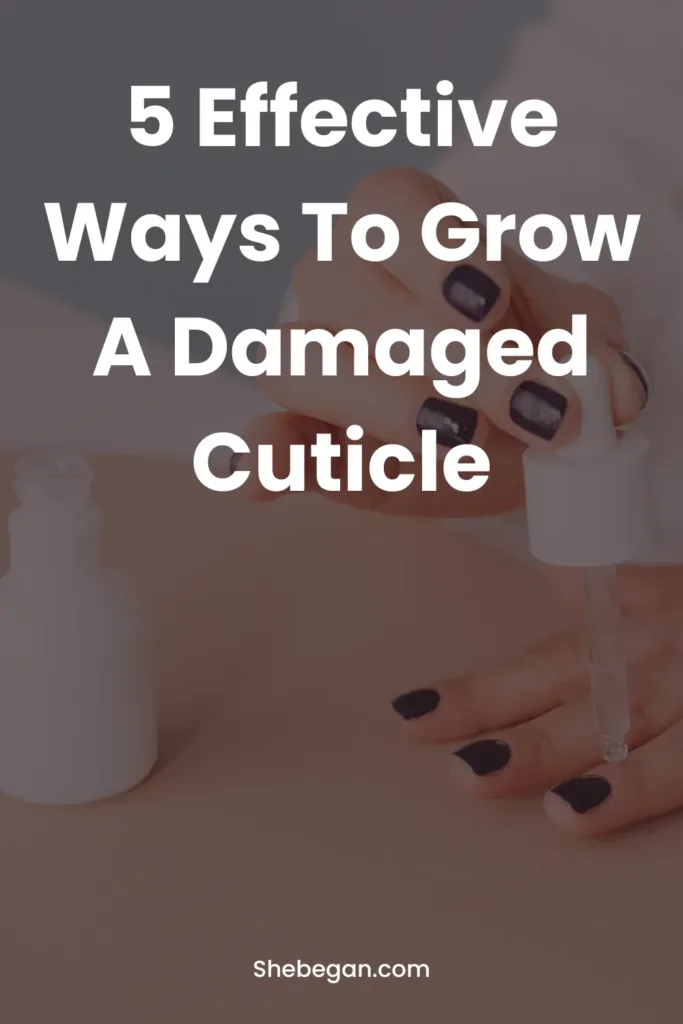 Do Cuticles Grow Back?