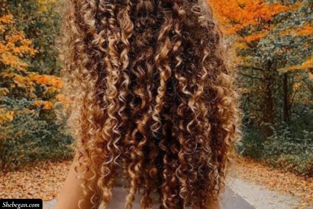 Hairstyles for Curly Hair