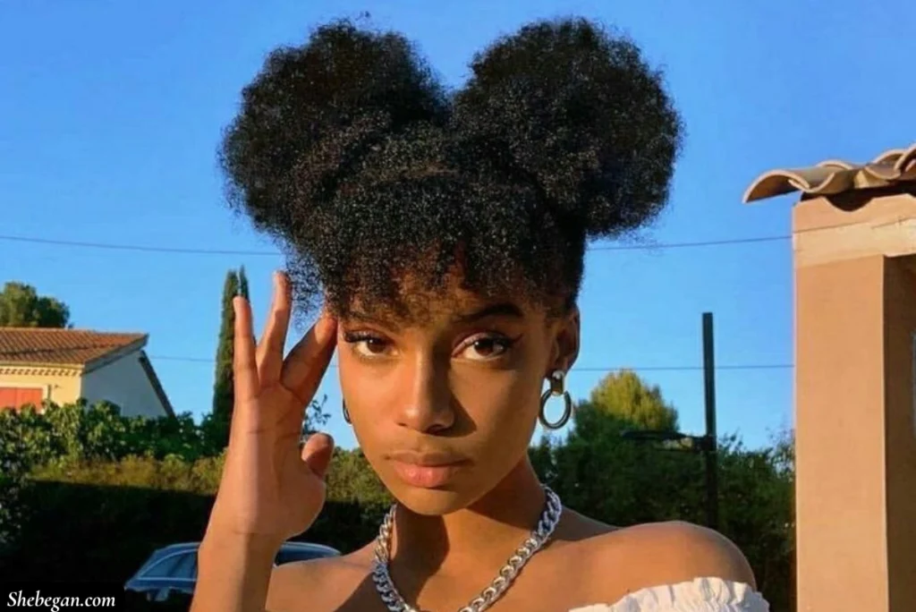 Natural Hair Ideas for Black Girls
