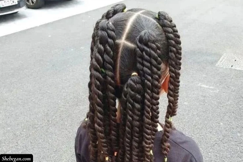 Cute Twist Hairstyles For Little Girls
